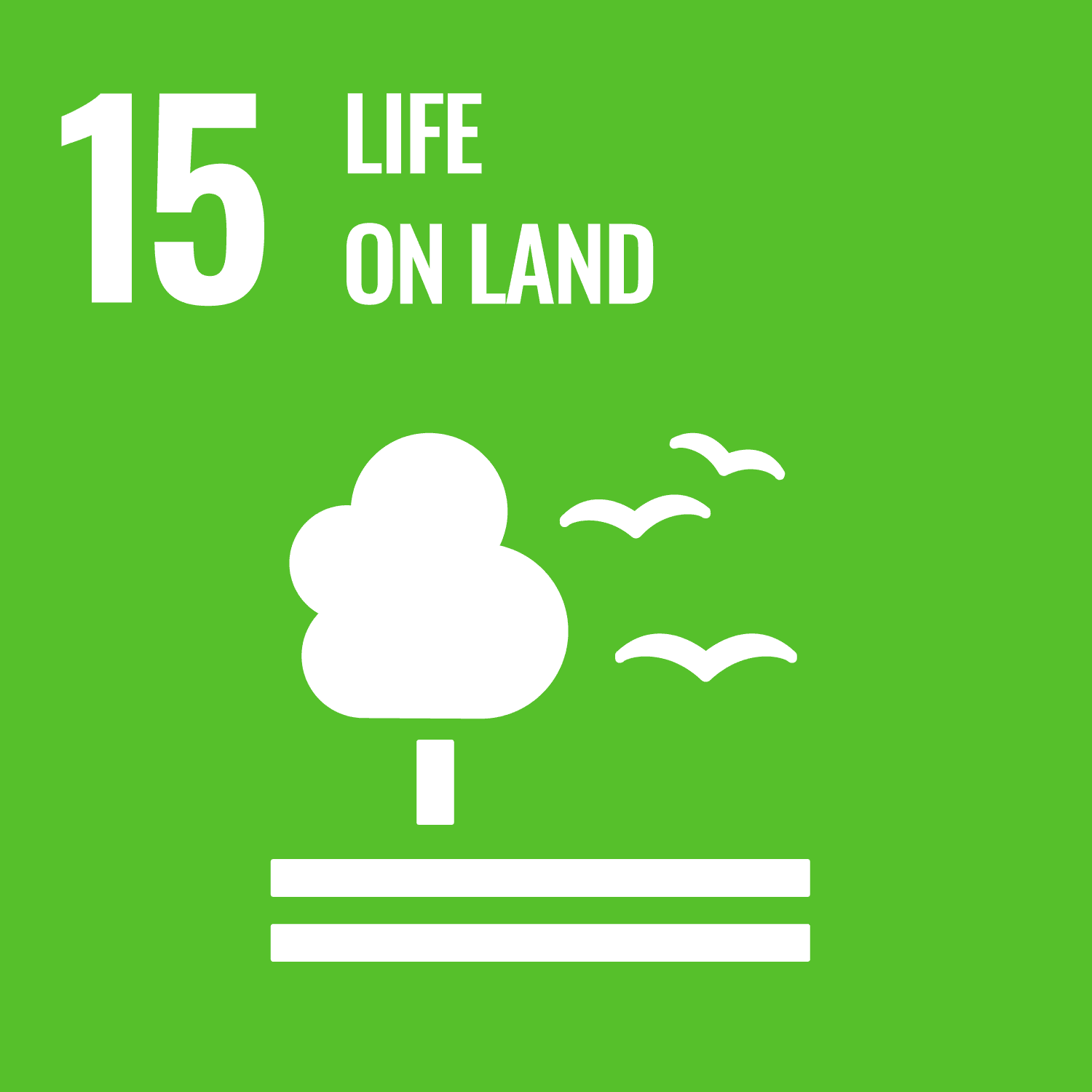 UN Sustainable Development Goal: Life on Land