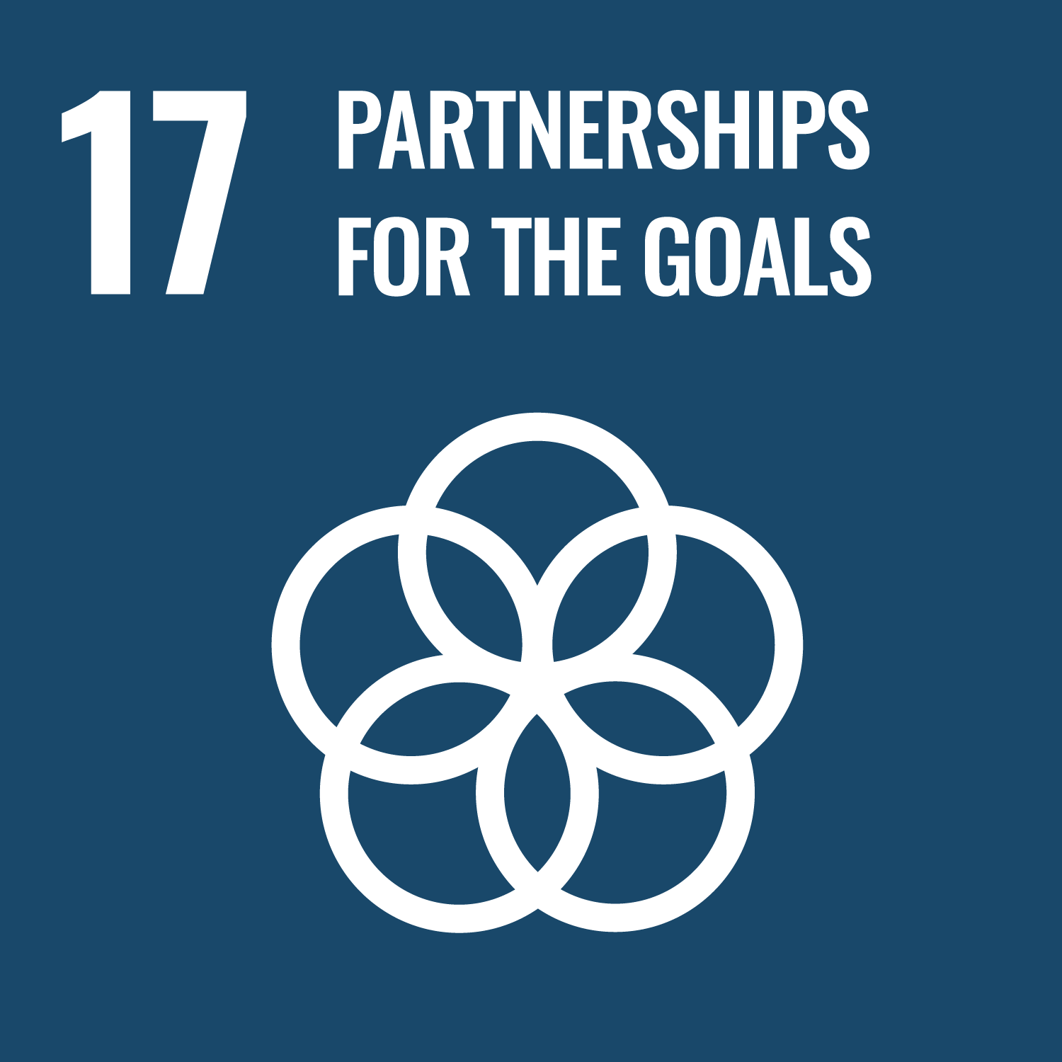 UN Sustainable Development Goal: Partnerships for the Goals